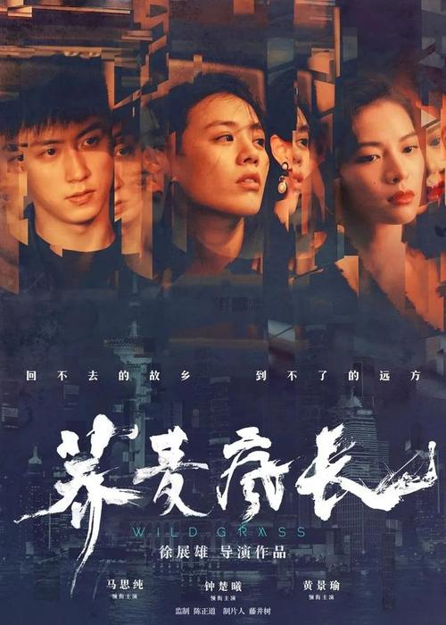 代办仿真科学技术大学硕士学位/证书